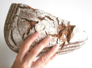 Das ideale Brot