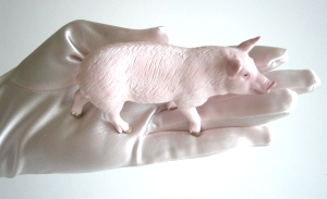 Bitte kein Schwein im Intimbereich sein