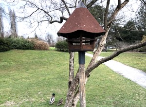 Ein Haus fr Vgel