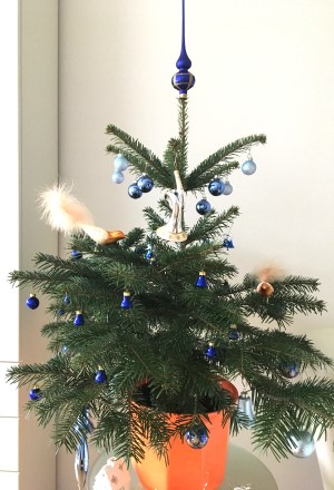 Der Christbaum fürs Weihnachtsfest