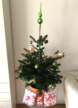 Der grüne Christbaum am Weihnachtsmarkt