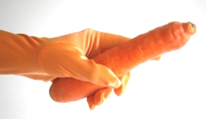 Karotten anbauen in biologischer Landwirtschaft
