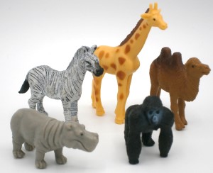 Zoo Tiere