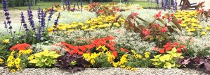 Blumen und Blten kann man essen