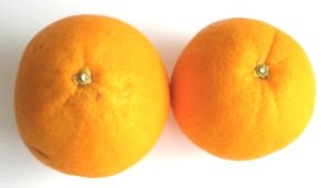 Orangen machen Schlank